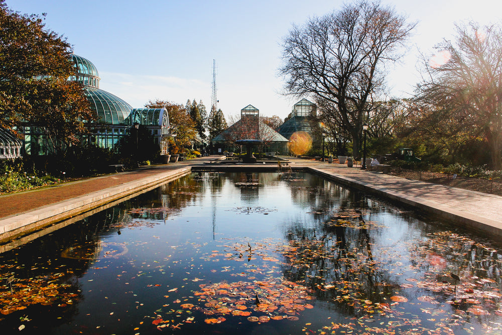 Two Hours In New York City Brooklyn Botanic Garden If You Love