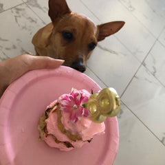 Nala's Birthday Cake 