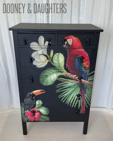 Parrot & Toucan Tallboy