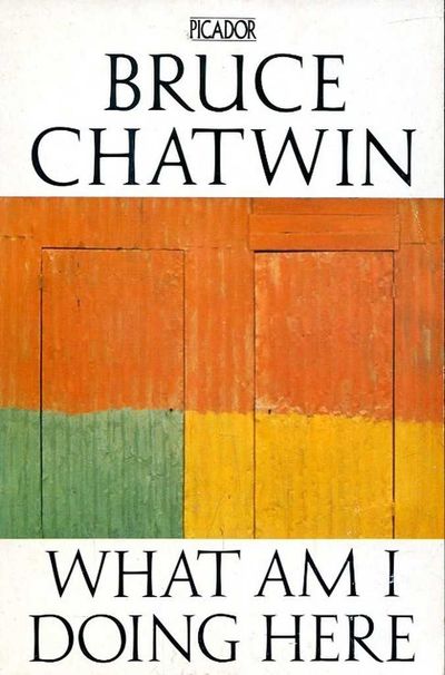 What am I doing here by Bruce Chitin