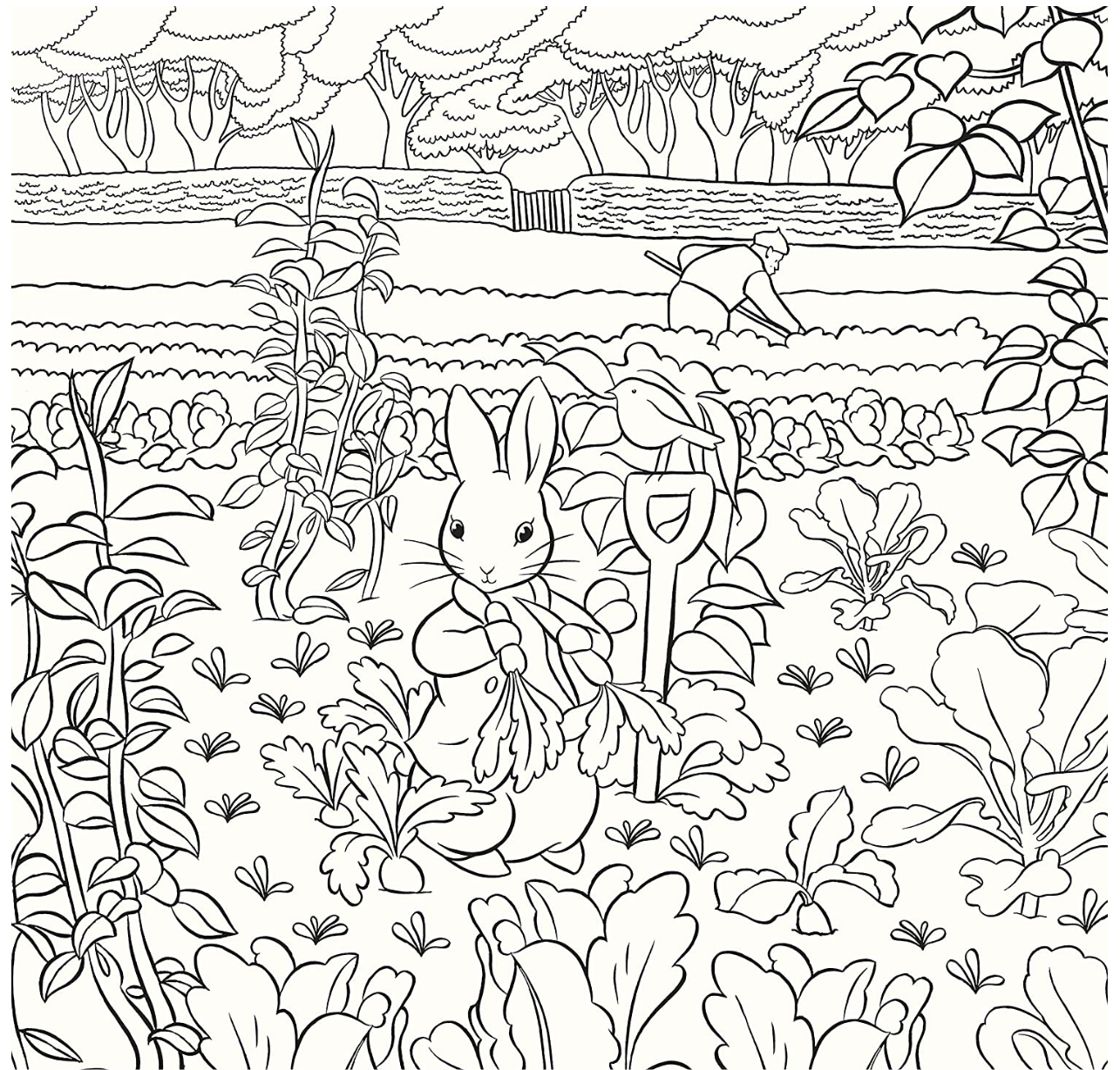 peter rabbit coloring book pages