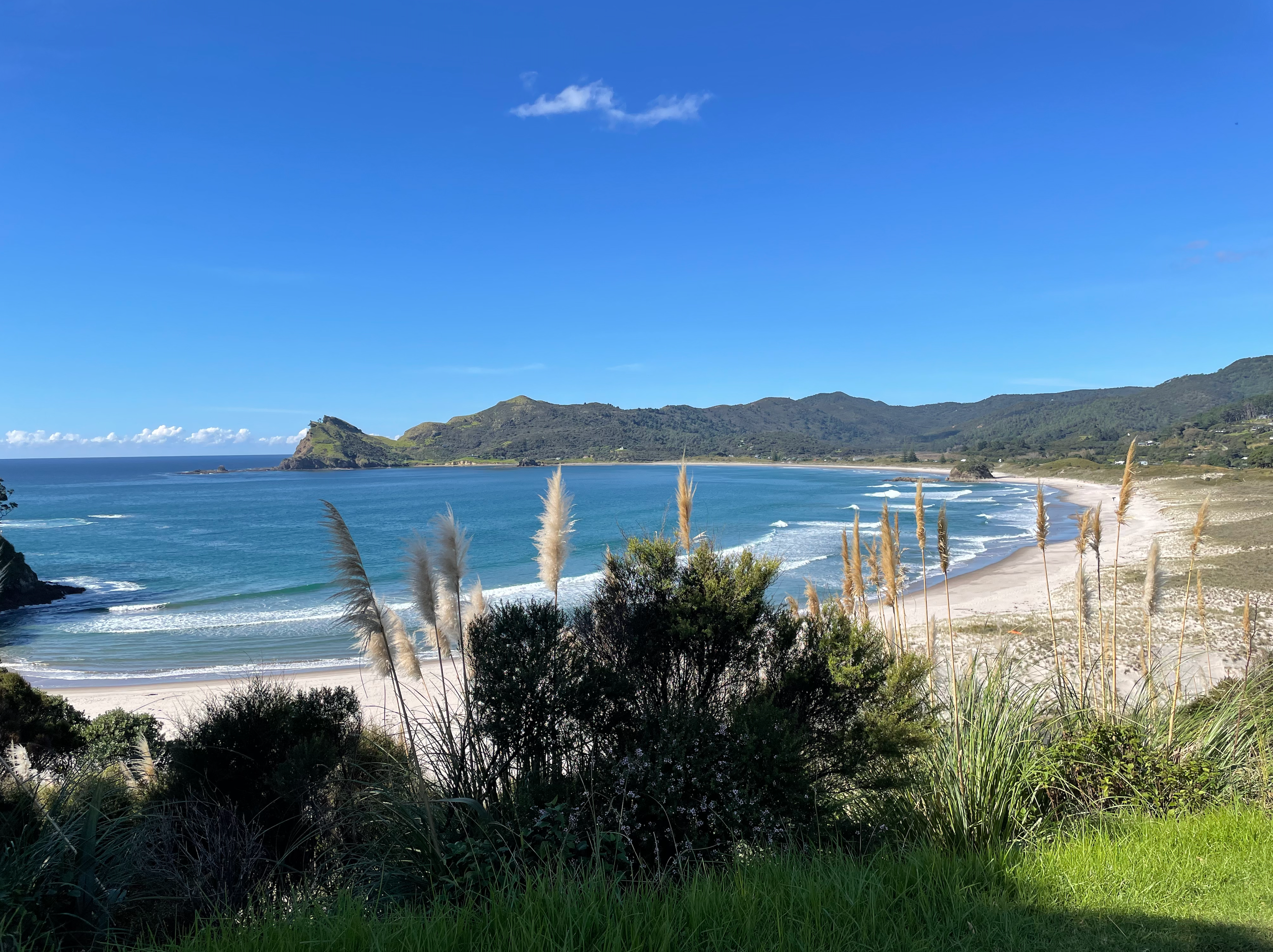 Picture of Medlands Beach on Great Barrier Island.