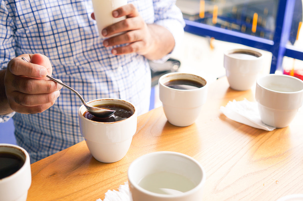 Mengevaluasi Cita Rasa Kopi Dengan Coffee Cupping  Gordi id