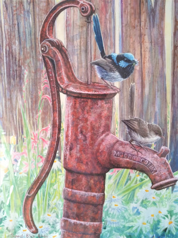 Supurb Blue Wrens on rusty old-fashioned water tap - by Australian Bird Artist James Luck