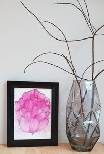 'Pink Waratah' archival quality modern floral art print