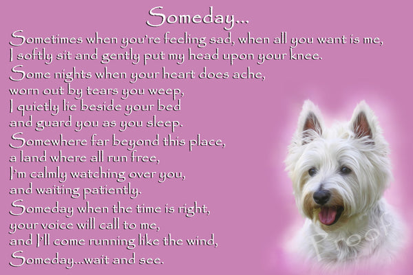 Westie Pet Dog Memorial Rainbow Bridge Gift – CountryStyle Photography