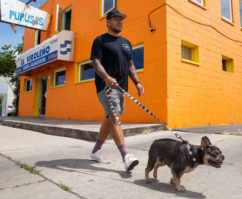 Nick Rimando walking with bully dog.