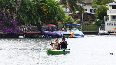 Family kayaking with dogs.