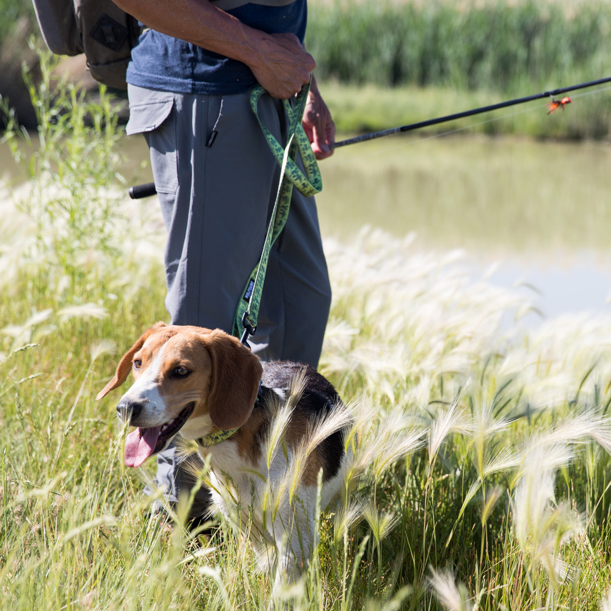 BaitCaster DOG LEASH