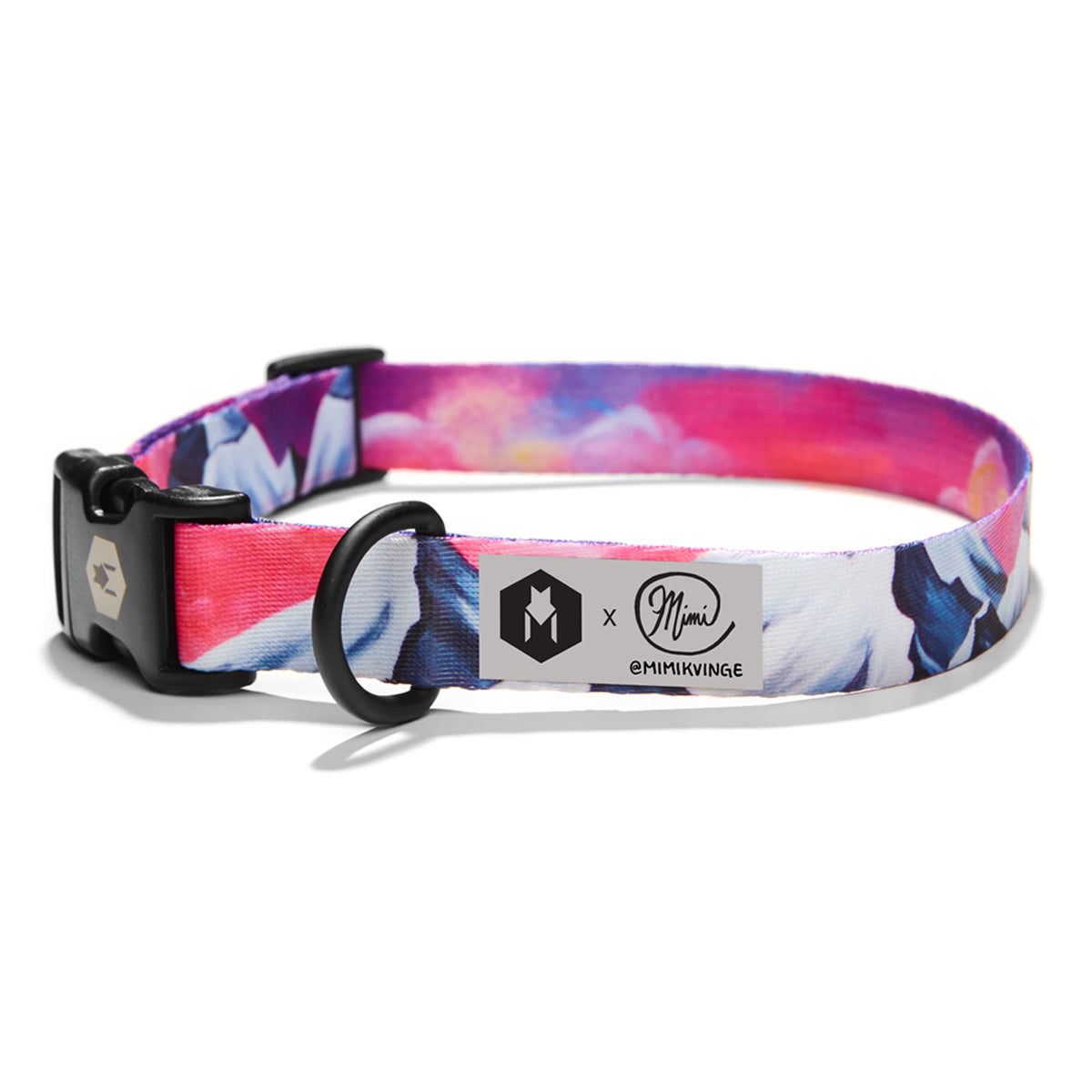 dog collars with matching leashes