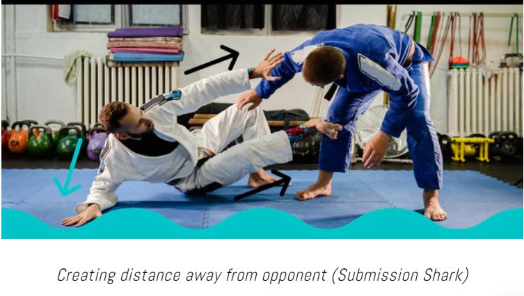 Creating Distance in BJJ