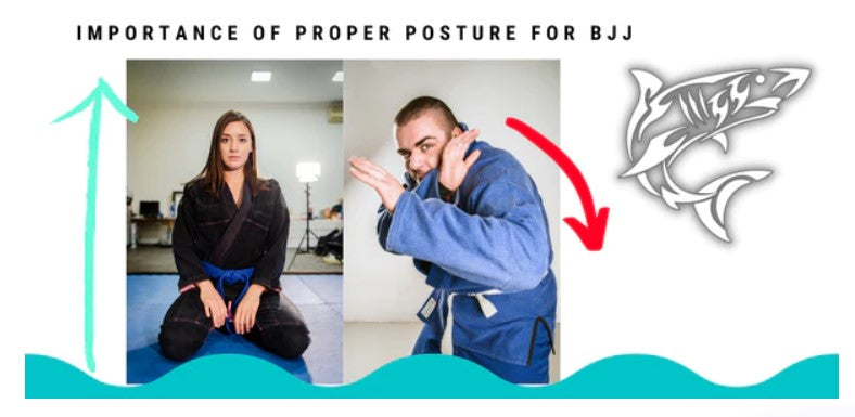 BJJ Posture