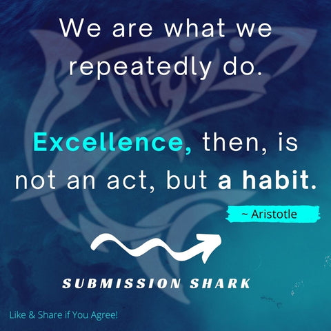 How To Have Effective Martial Arts Habits (Aristotle Quote)