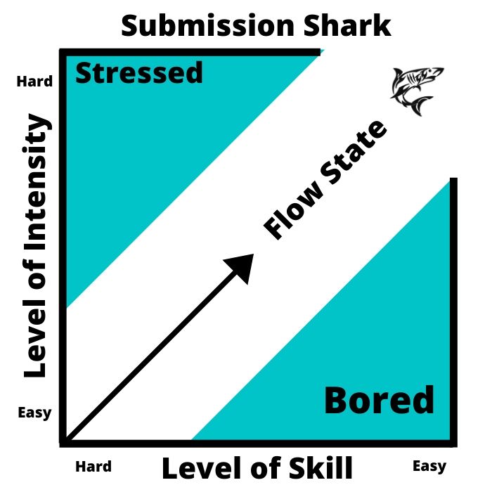 Submission Shark MMA Training Flow Chart