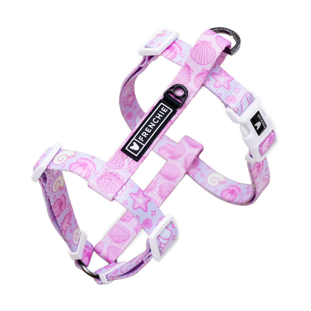Frenchie Bulldog - Harnesses, Collars, Leashes & More