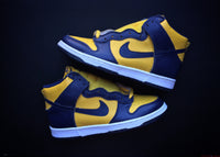 NIKE DUNK HIGH LE \