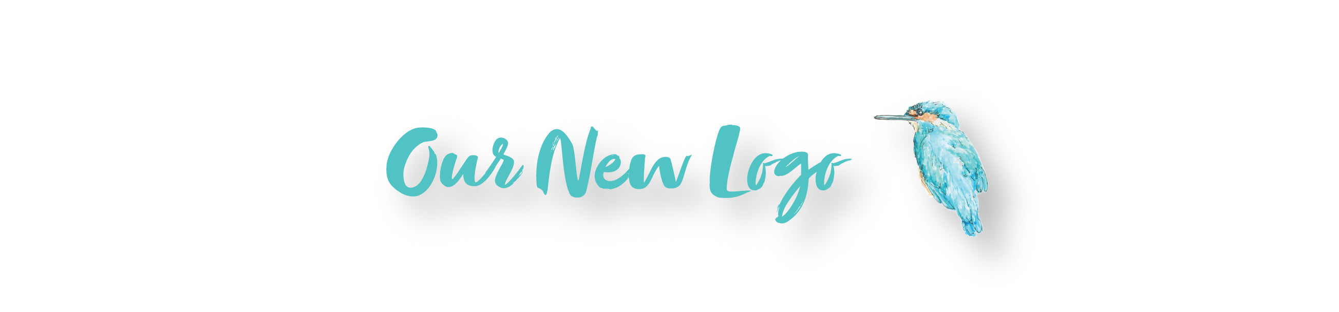 Our New Logo - kingfisher logo bird lol