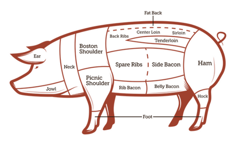 BACON definition and meaning