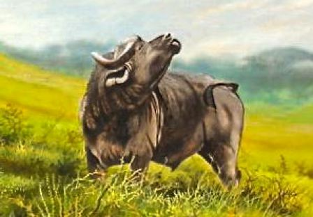 Close up a Buffalo in East Africa.  Daniel Njoroge | True African Art .com