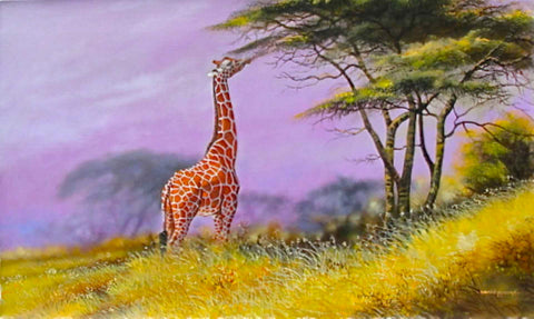 East African Samburu Reticulated Giraffe | Daniel Njoroge | True African Art .com