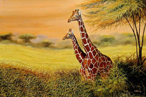 Wycliffe Ndwiga - Giraffes Watching - True African Art .com