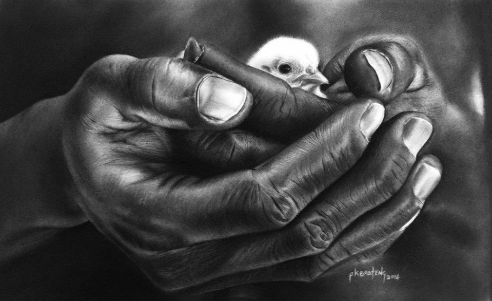 Artist Peter Boateng  |  Ghana  |  Protected  | Graphite pencil on paper  |  Sold