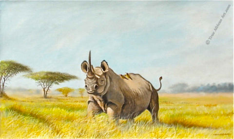 Rhino Wildlife | Daniel Njoroge | East Africa
