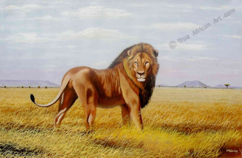 Sole Lion by Wildlife African Artist Wycliffe Ndwiga