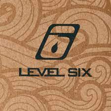 Level 6