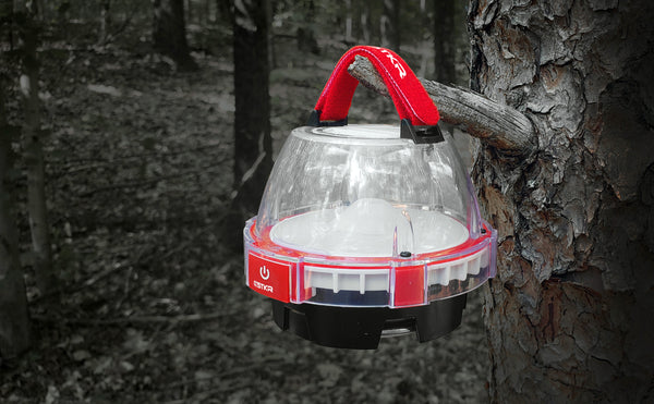 Mini linterna Illumidome de STKR Concepts entregada desde un árbol