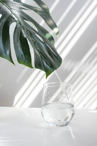 water dripping down off of a leaf into a glass drinking cup