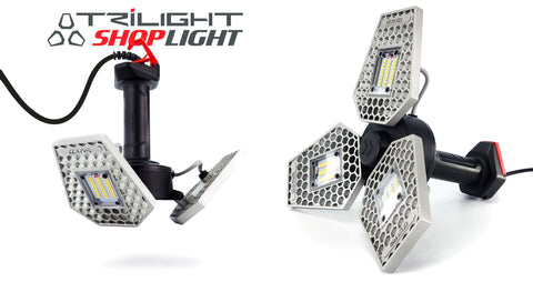 white studio image of 2 TRiLIGHT Shoplights posing for the camera