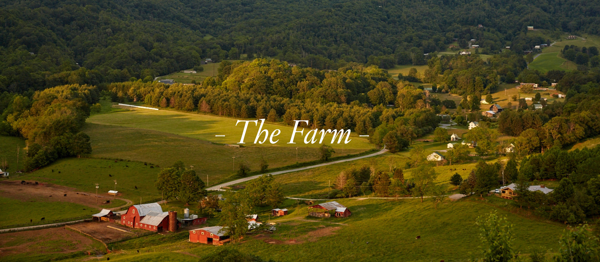 The Farm – Shipley Farms