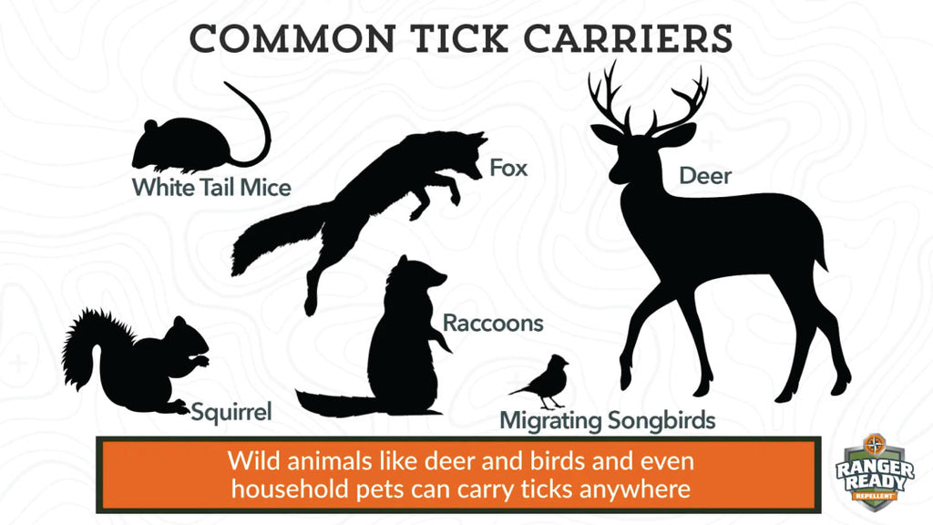 animals-that-carry-ticks