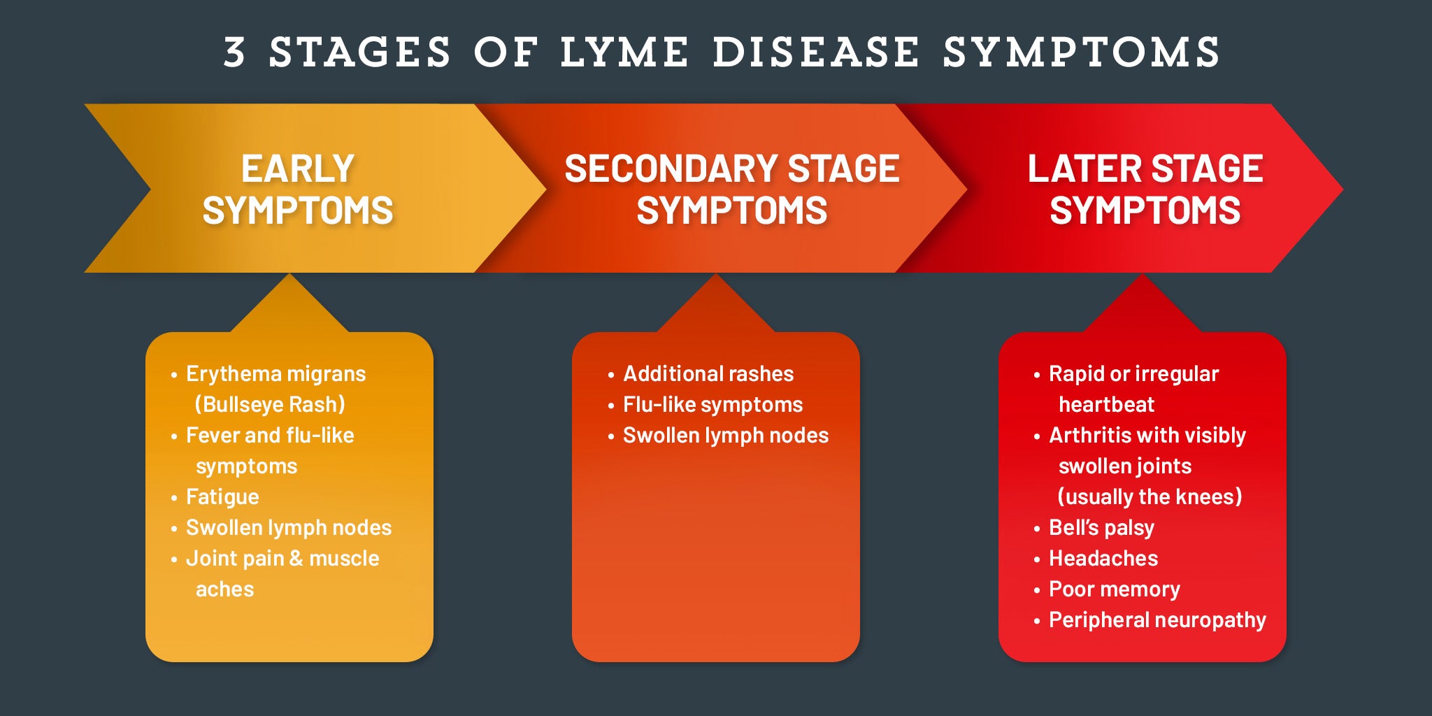 Dangers Of Lyme Disease Lyme Symptoms Tick Borne Illnesses
