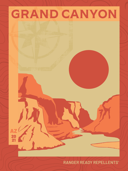 grand canyon national park retro vintage illustration