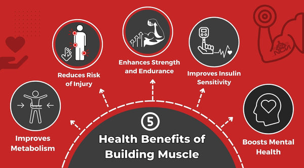 5 reasons building muscle is good for your health ncn supplements blog article