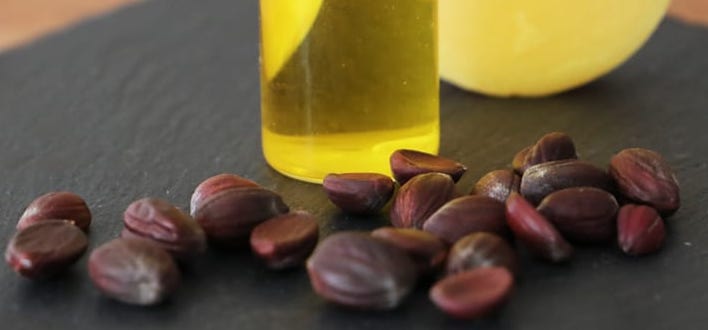 Optez pour les bienfaits de l'huile de jojoba ! - Blog