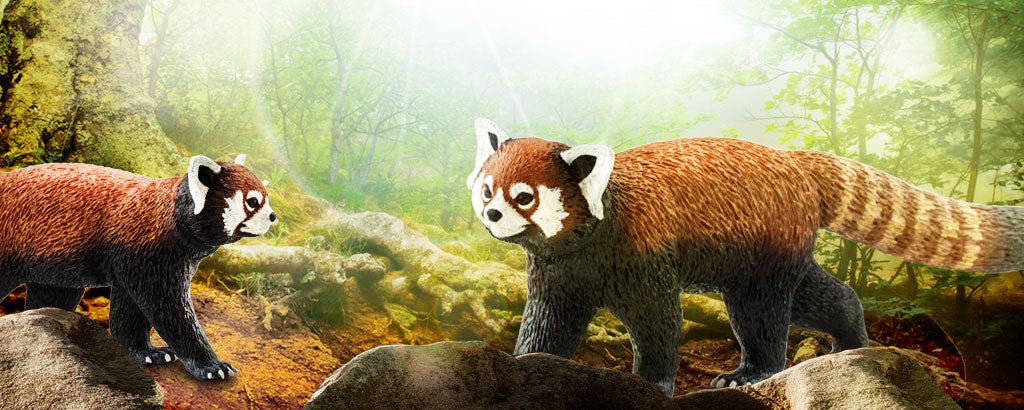 Is the Red Panda Really Panda? | Safari Ltd®