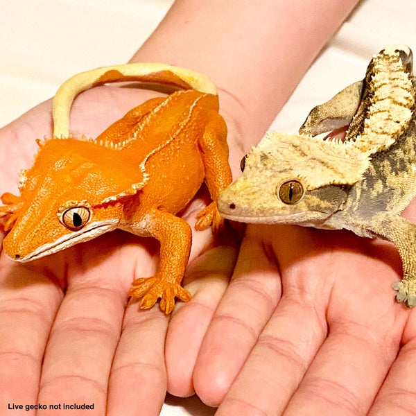 Crested Gecko Toy next to Real Crested Gecko