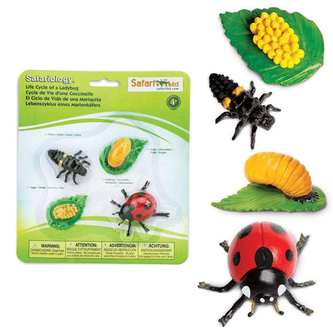 Safari Ltd Life Cycle of a Ladybug