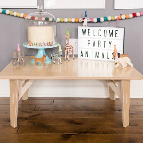 Kid's birthday party | Montessori Toys | Safari Ltd