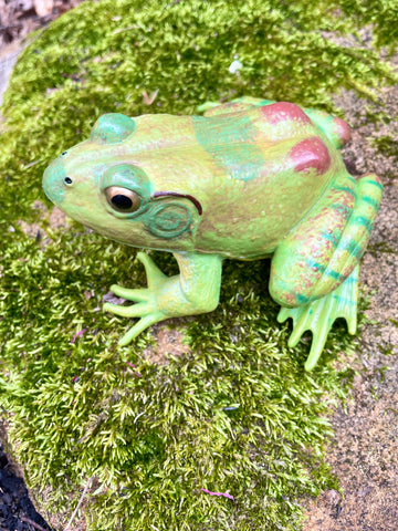 Anatomically Correct Animal Toys - frog