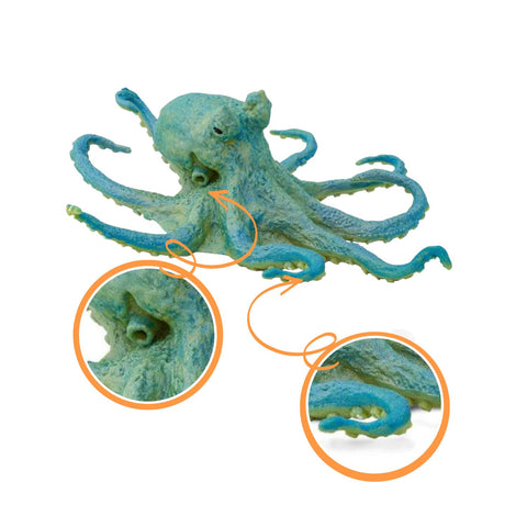 Anatomically Correct Animal Toys - octopus