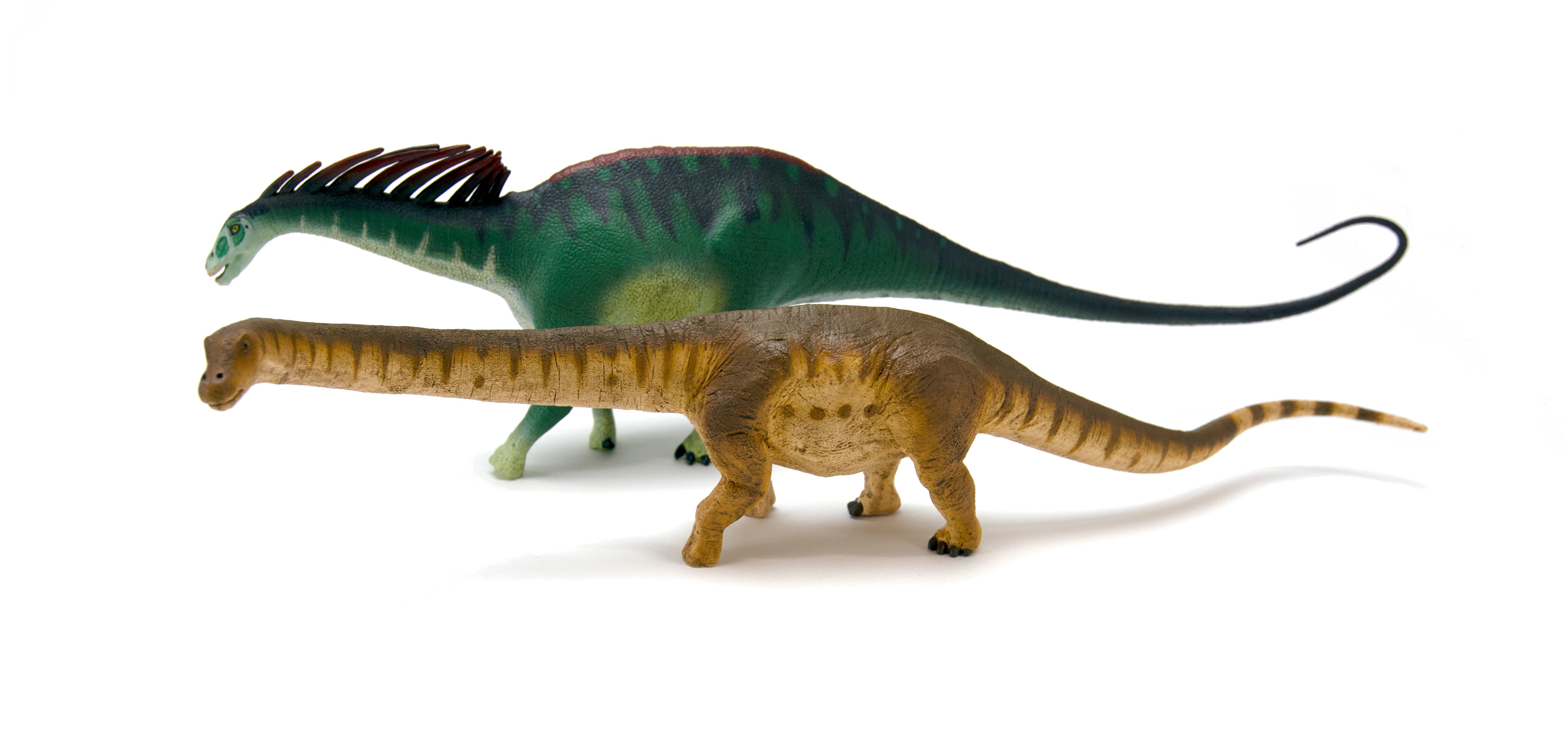 Amargasaurus (rear) with Patagotitan (front)