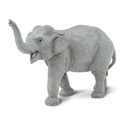 longest living animals - safari ltd asian elephant toy figure