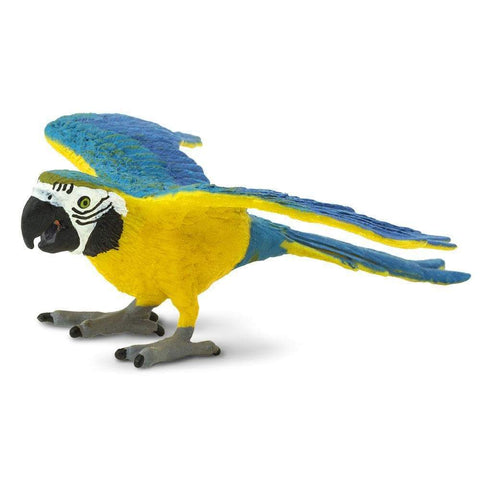 longest living animals - safari ltd blue and gold macaw toy figure