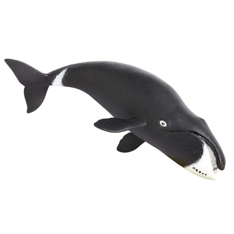 ongest living animals - safari ltd bowhead whale toy figure