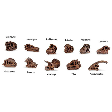 Dinosaur Skulls toys including Tyrannosaurus Rex, Triceratops, Brachiosaurus, Velociraptor, Dilophosaurus, Carnotaurus, Oviraptor, Parasaurolophus, Nigersaurus, Dracorex, and Diplodocus