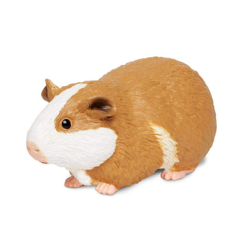 Safari Ltd Guinea Pig Figure